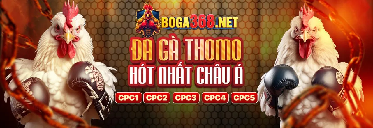 Lý do nên chọn b52clup để tham gia cá cược trực tuyến